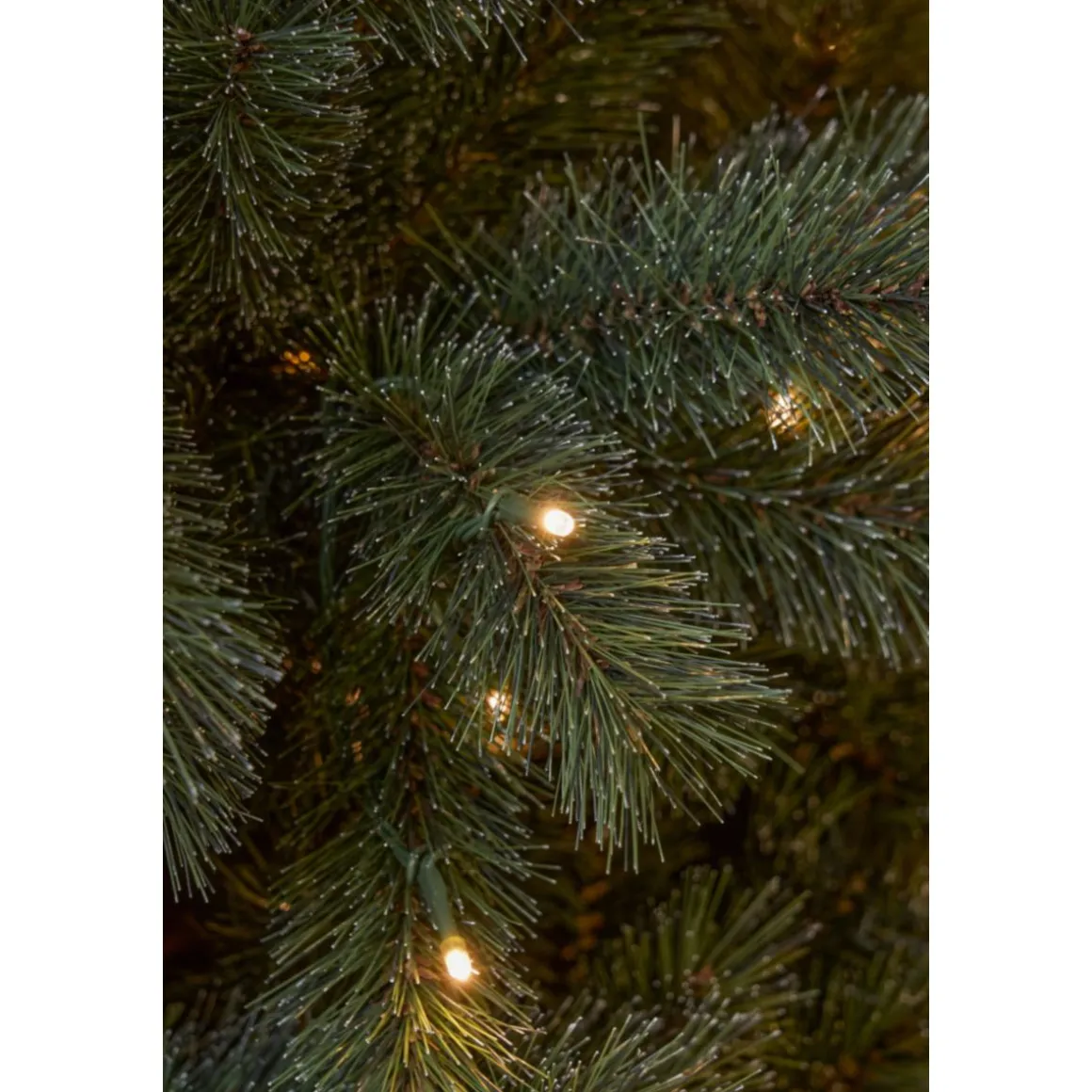 Norwood Weihnachtsbaum grün warm weiß LED 185x119cm cm mit Timer & Dimmer