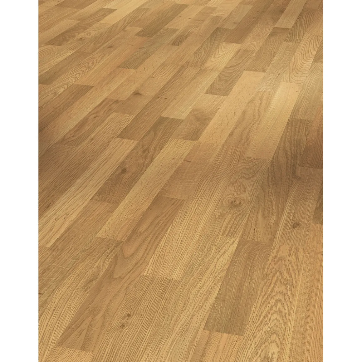 Parador Laminat Basic 400 Eiche Natur