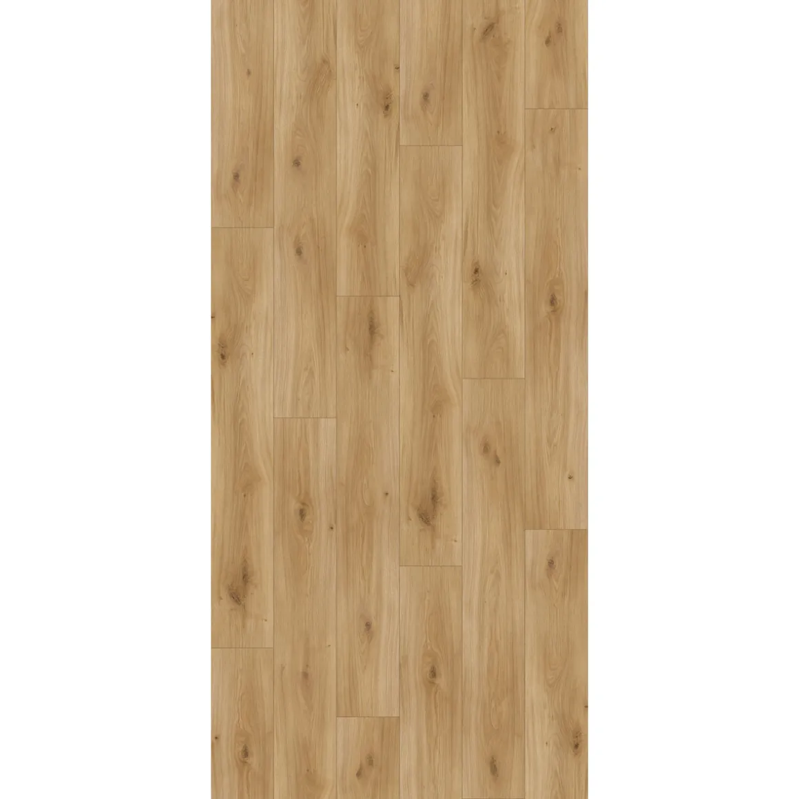 Parador Laminat Basic 200 Eiche Horizont Natur