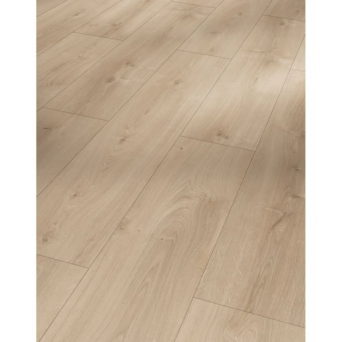 Parador Laminat Basic 600 Eiche Avant
