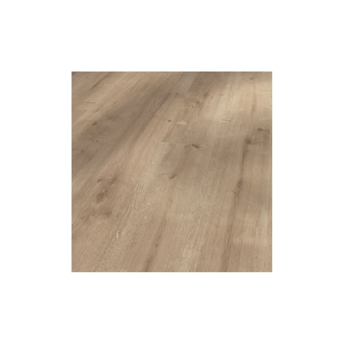 Parador Laminatboden Basic 400 Eiche Geschliffen