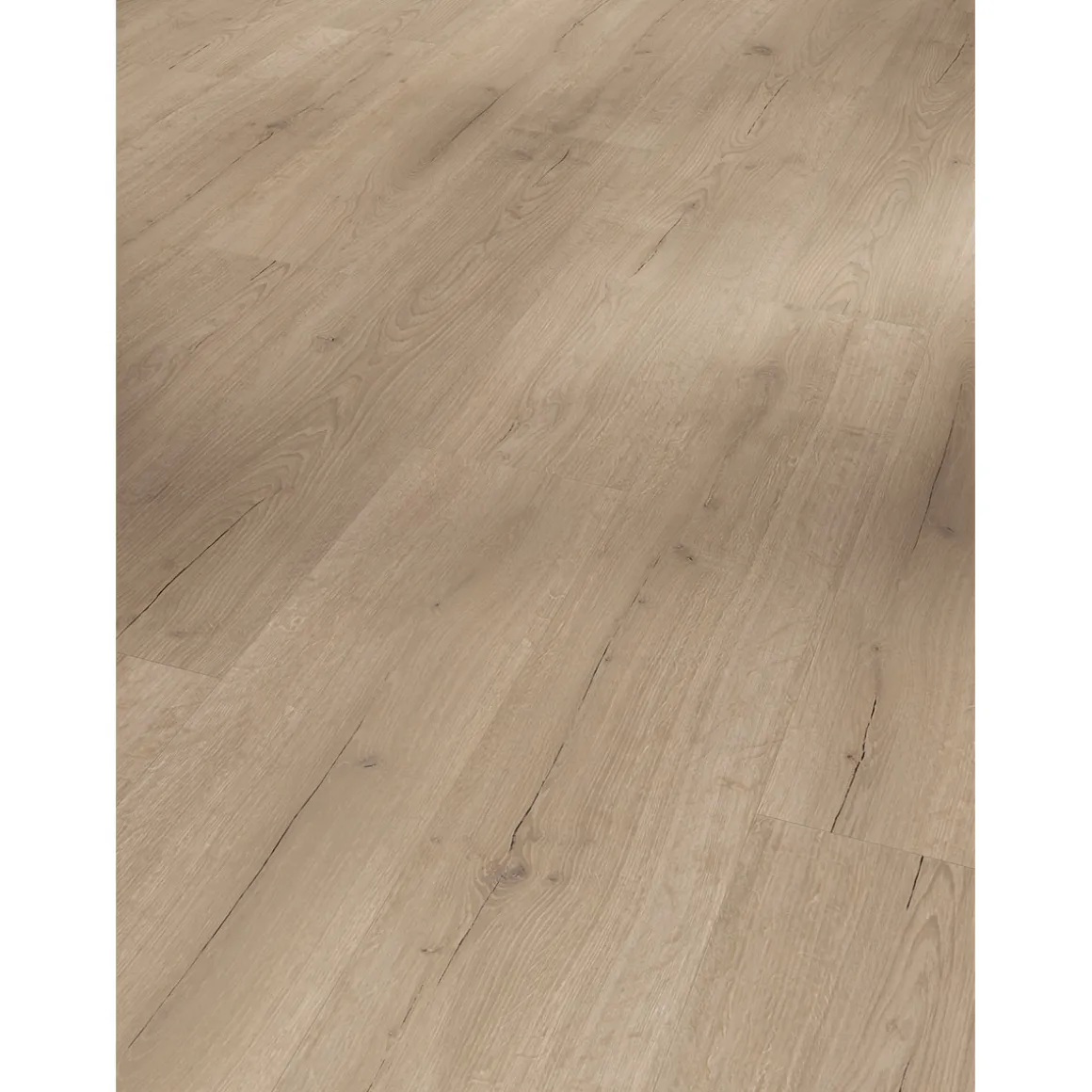 Parador Vinylboden „Basic 300147, Eiche Infinity grau, Lebhafte Struktur, 21,6x120,7 cm