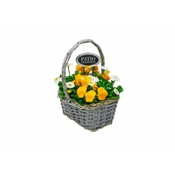Plantiflor Bepflanzte Gefäße