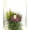 Plantiflor Heide-Mix T20