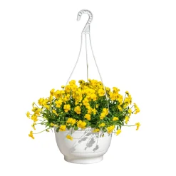 Plantiflor Hornveilchen Ampel Durchmesser 25 cm