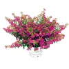 Plantiflor Japanische Scheinmyrthe Flori Glory Topf 11 cm