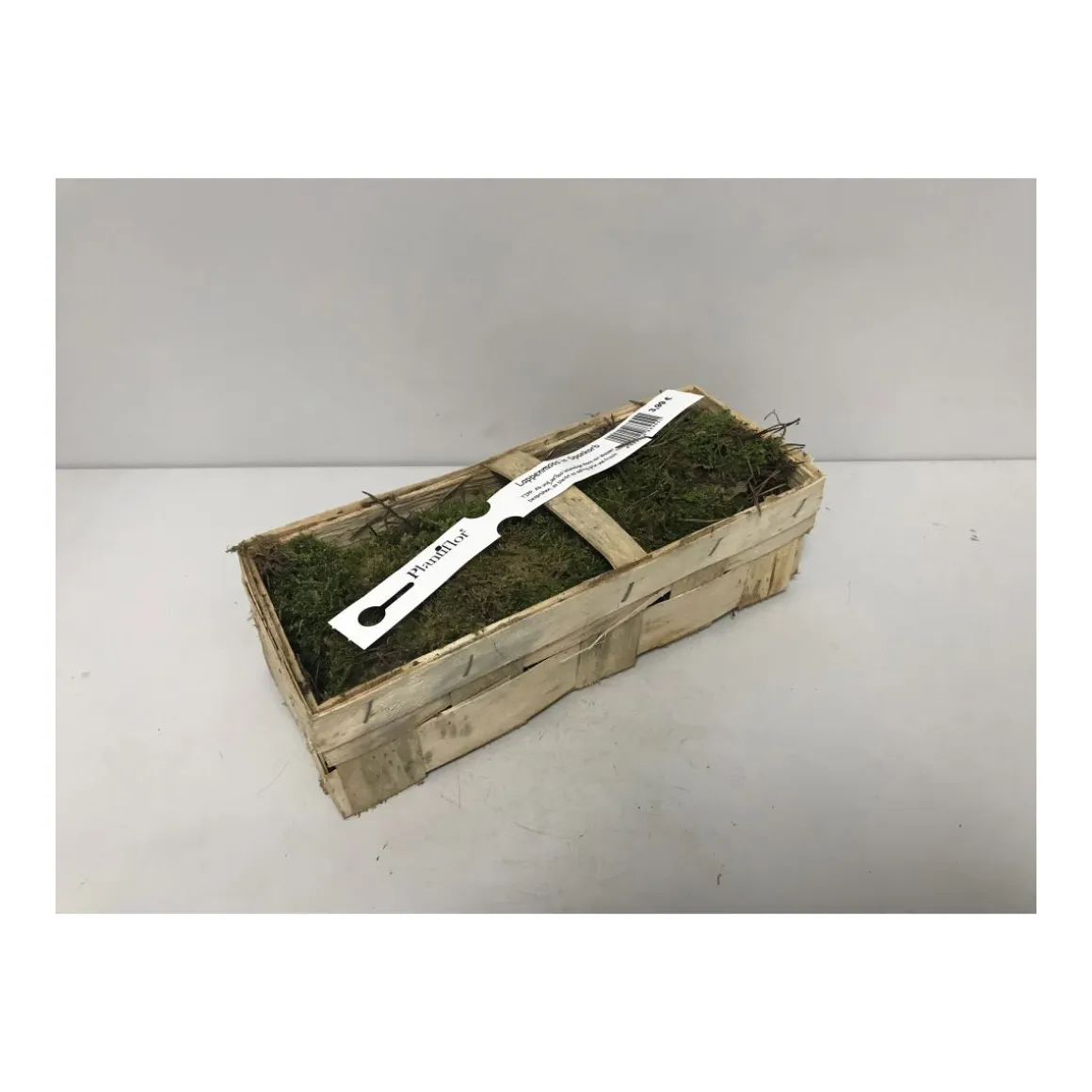 Plantiflor Moos im Spankorb 28 x 12 x 10 cm
