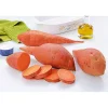 Plantiflor Suesskartoffeln verschiedene Sorten Topf Durchmesser 10,5 cm