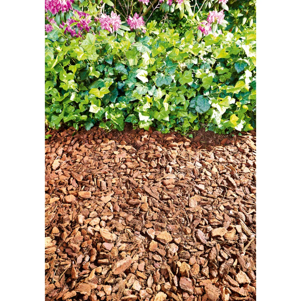 Plantiflor Pinienrinde 40 L