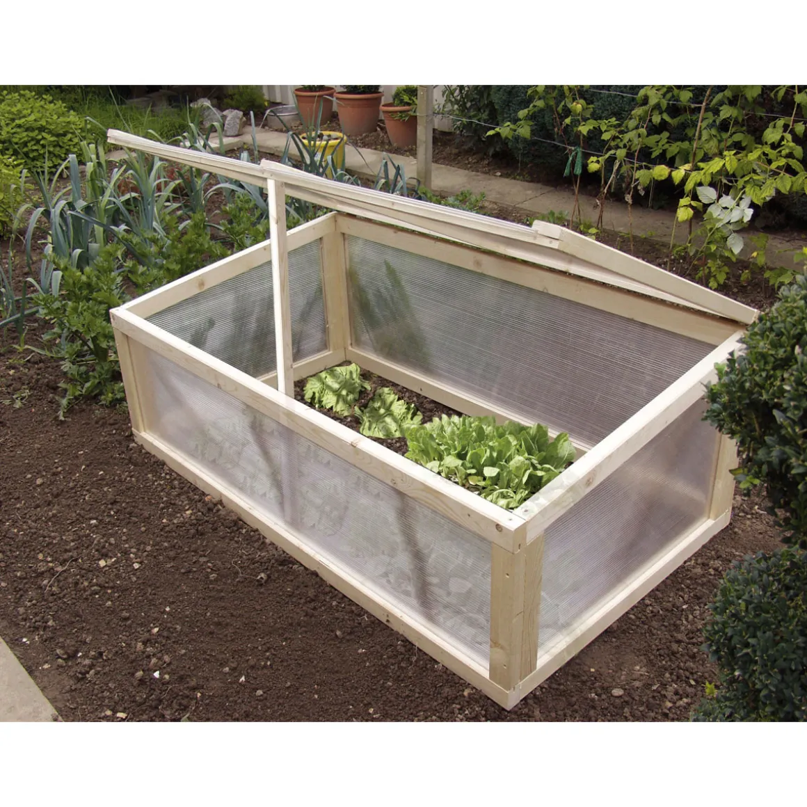 Polycarbonat-Hohlkammerplatte transparent 250 x 98 cm