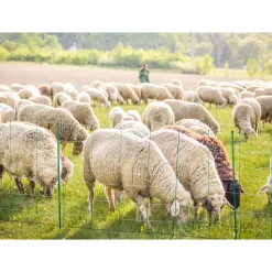 Schafnetz TopLine Plus Net 50 m 90 cm grün-weiß