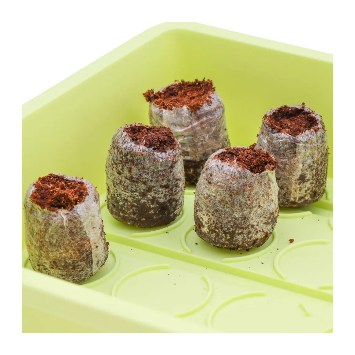 Siena Garden Zimmer-Gewächshaus Uni-Grow 38 x 24 x 18 cm