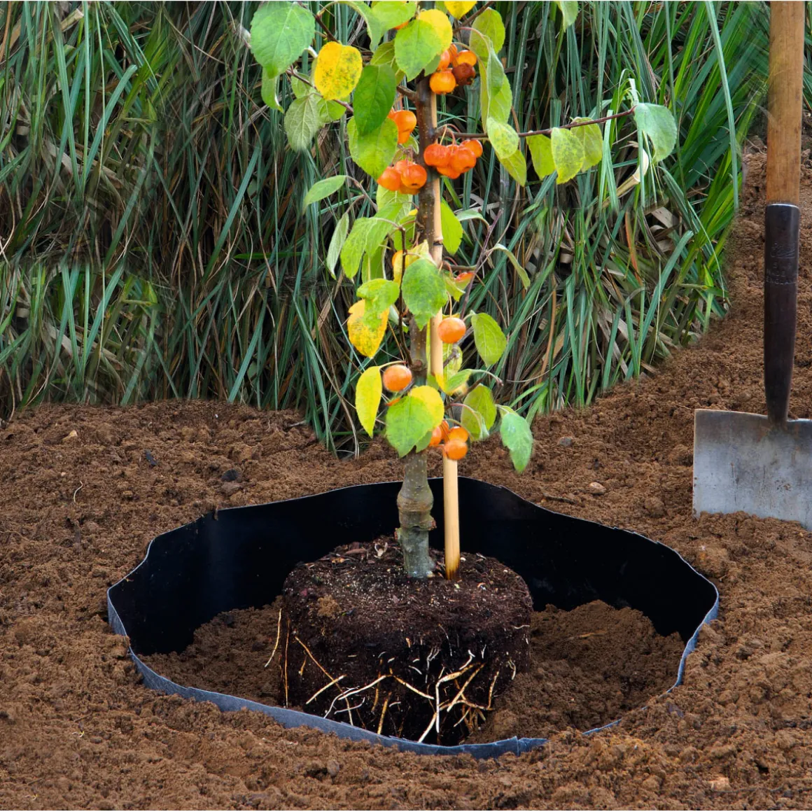 Siena Garden Premium Wurzelsperre 0,66 x 3,5 m schwarz Rolle