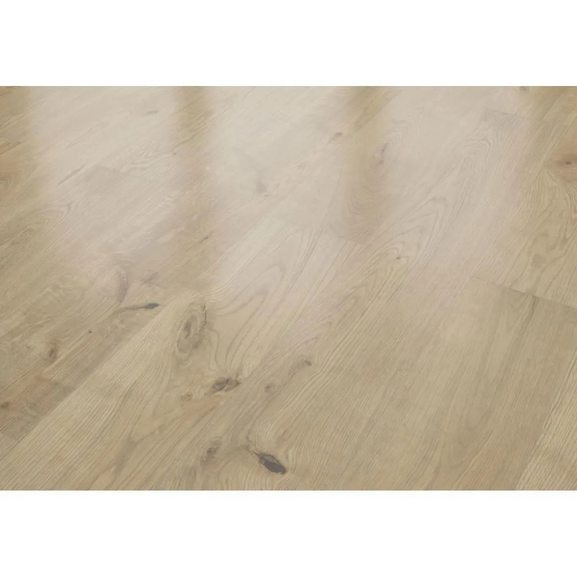 Specht Laminatboden CLASSIC Eiche Rustikal