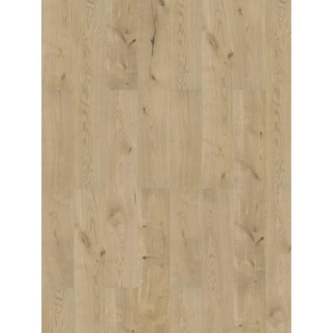 Specht Laminatboden CLASSIC Eiche Rustikal