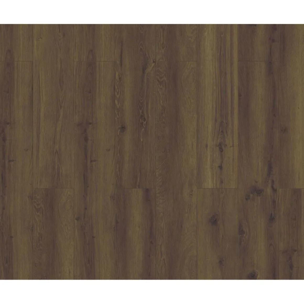 Specht Laminatboden Classic Aruba Eiche 7 mm 4V