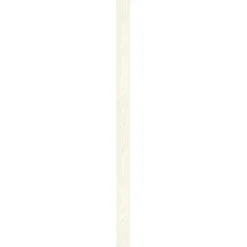 Specht Ambiente Paneel 10mm Pinie weiß