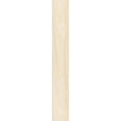 Specht Ambiente Paneel 10mm Birke hell