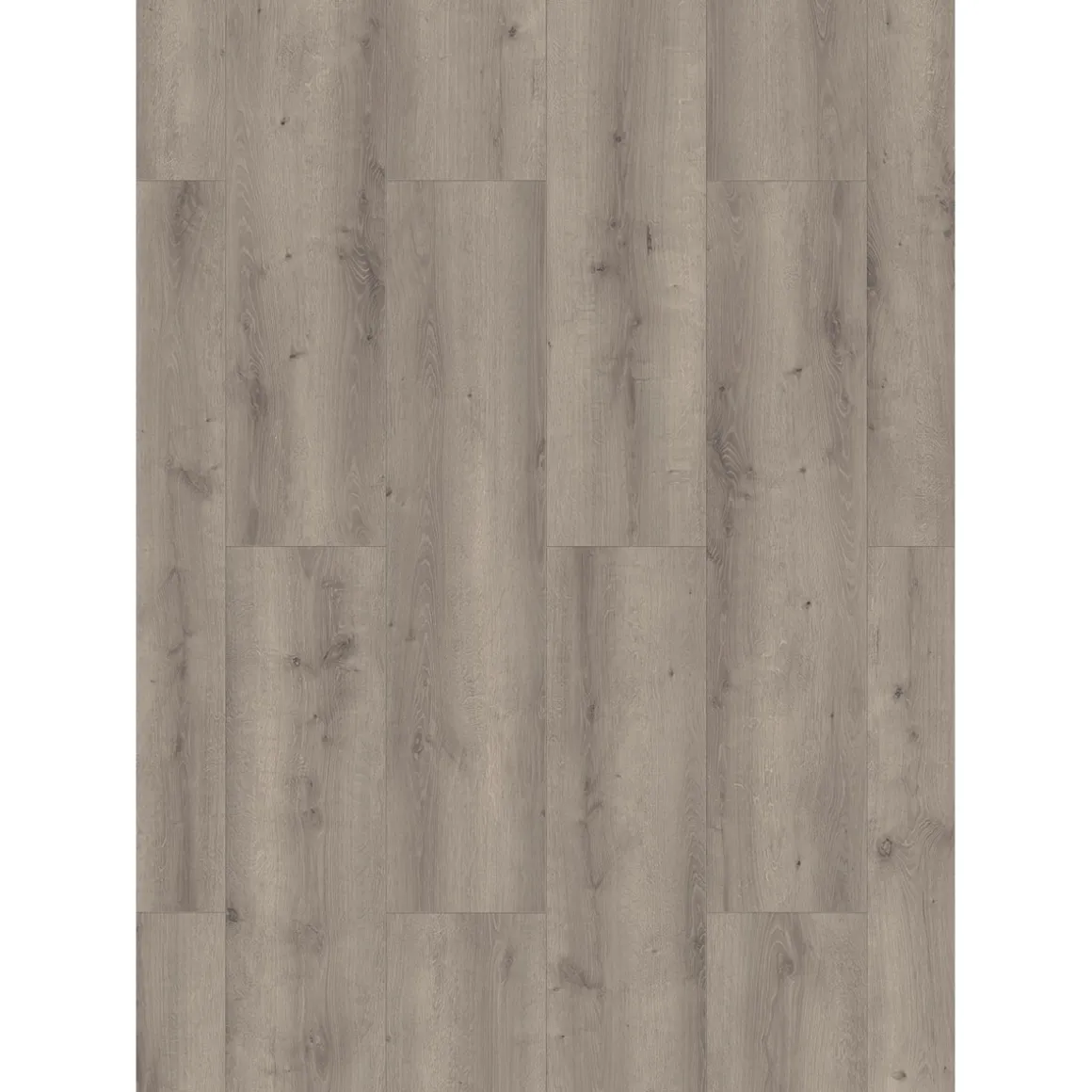 Specht Laminat Aqua Eiche grau 128,5x19,2x0,8 cm