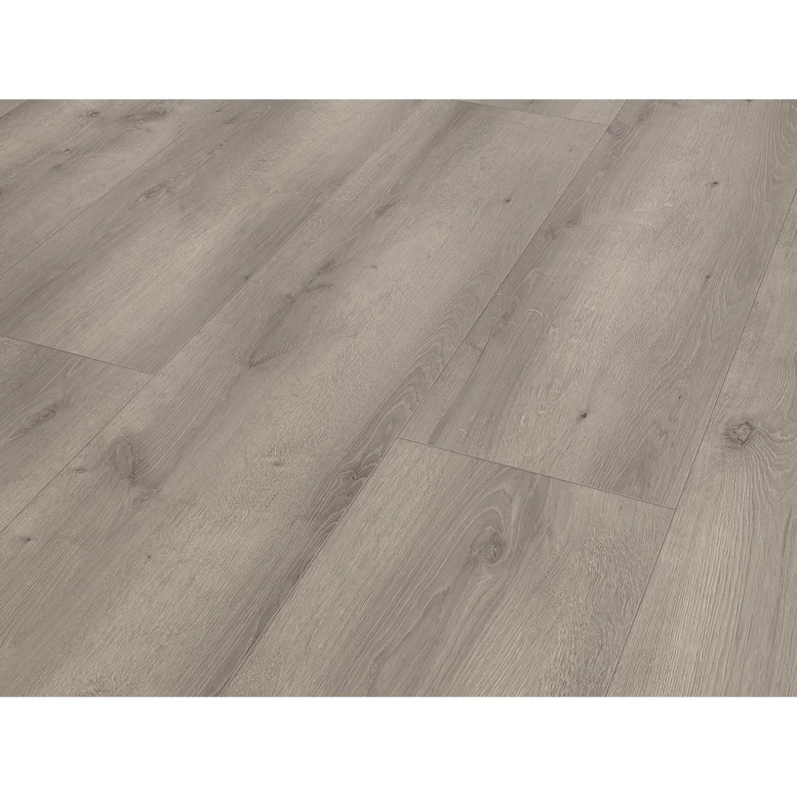 Specht Laminat Aqua Eiche grau 128,5x19,2x0,8 cm