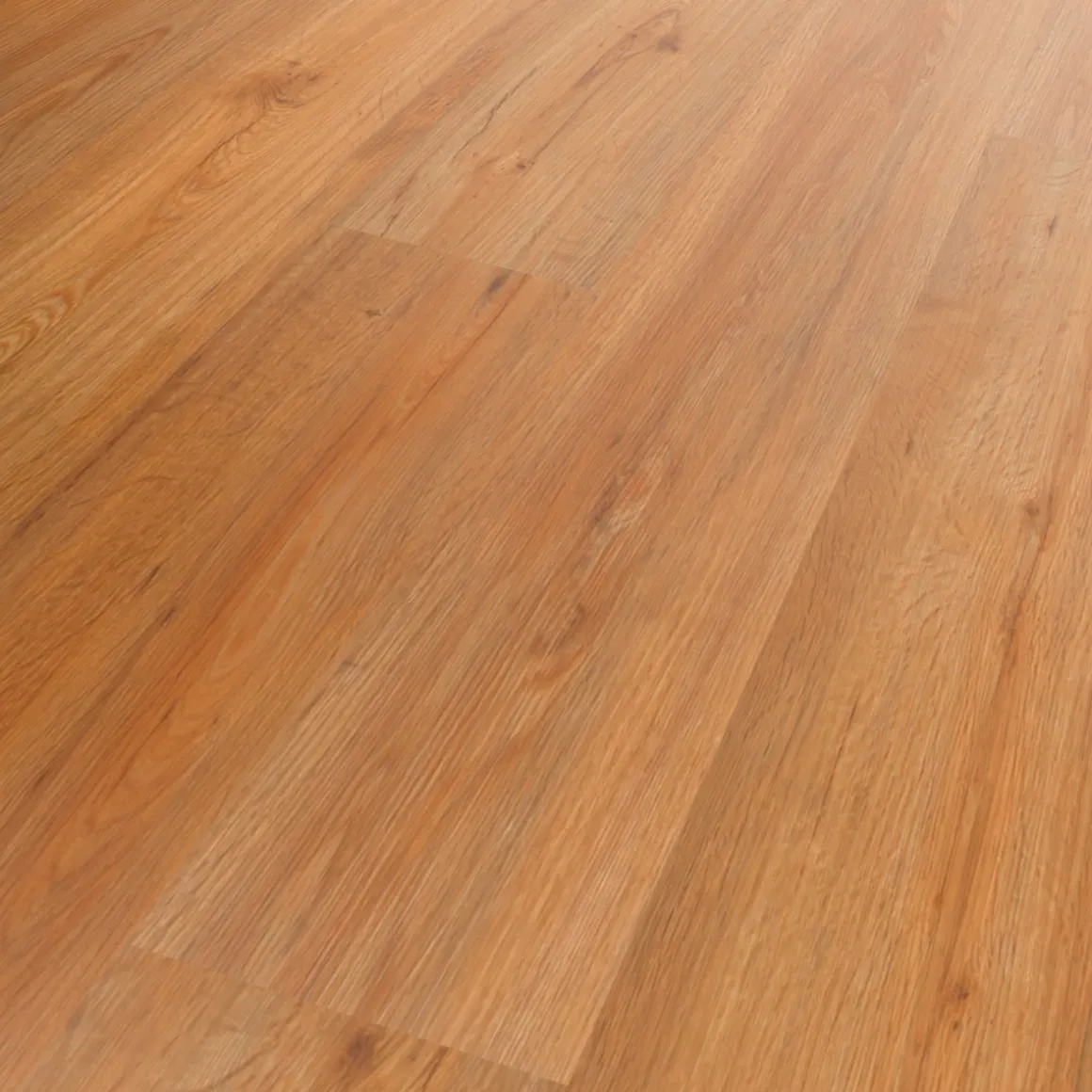 Specht Vinylboden Vinyl SPC Ambiente Avignon Eiche 1220 x 230 x 4,8 mm