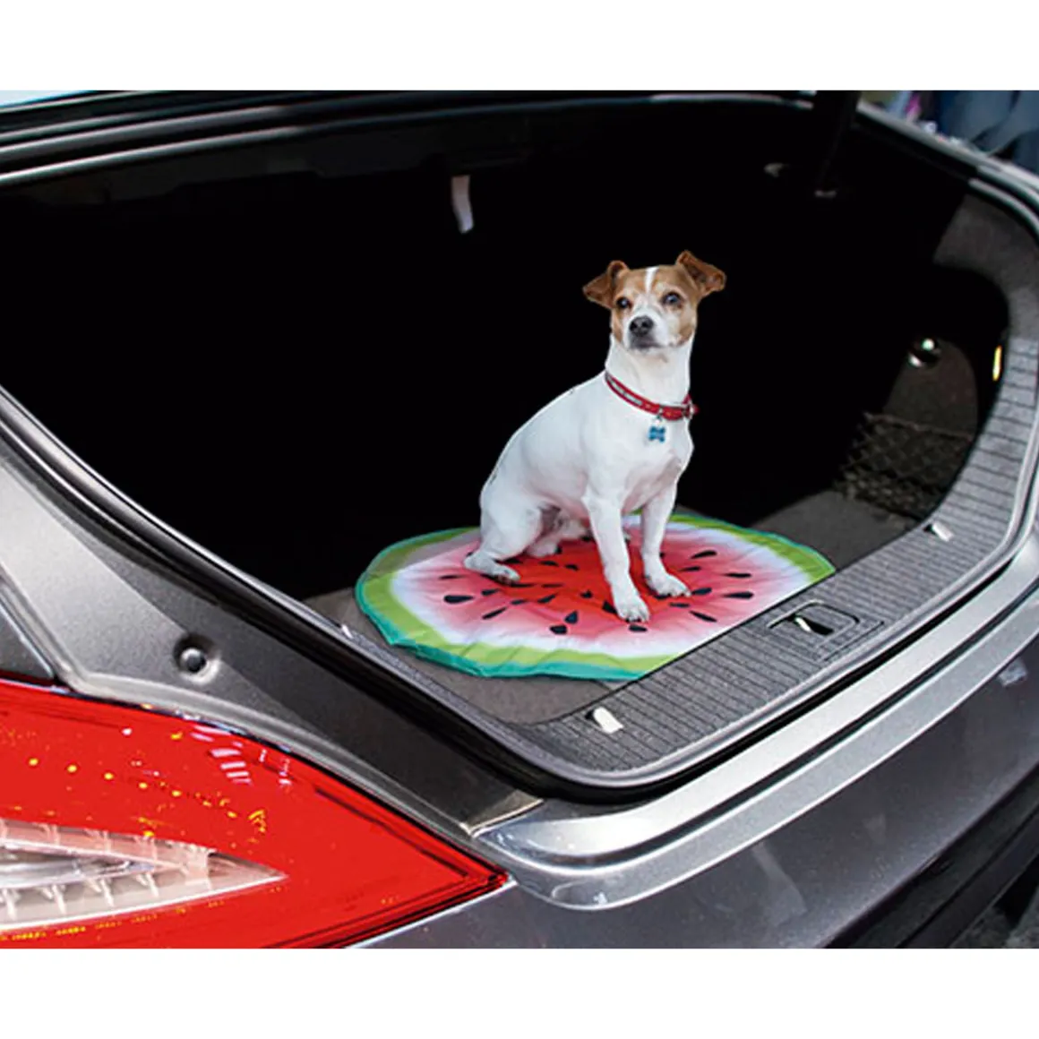 Starlyf Kühlmatte Pet Cooling Mat für Hunde