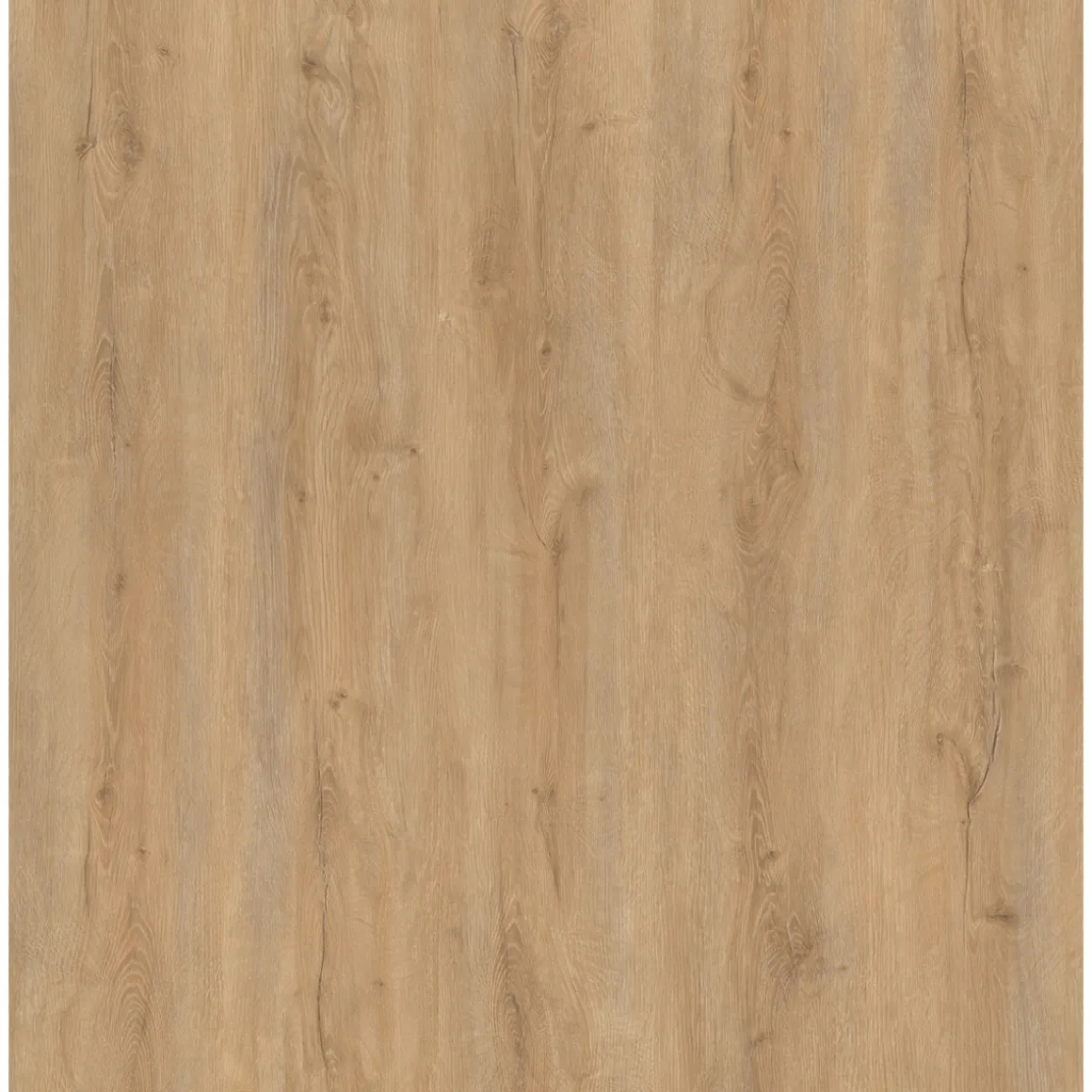 Strong SPC Vinylboden Georgia 122 x 228 x 3,8 mm