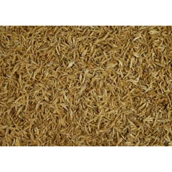 Tetra Schildkrötenfutter Anchovies 250 ml