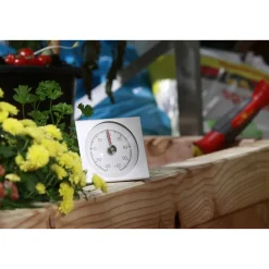Thermometer