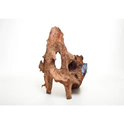 Traumwurzel 30-50 cm