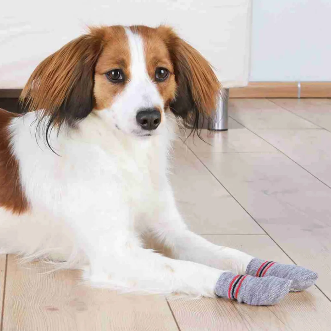 Trixie Dog Anti-Rutsch-Hundesocken grau 2St S-M
