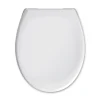 Valblue WC-Sitz Pebble Duroplast