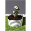 Vitavia Hochbeet Terra Rund 401 blank
