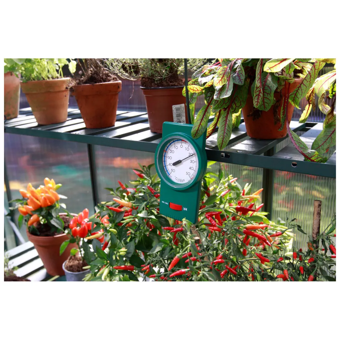 Vitavia Min-Max-Thermometer