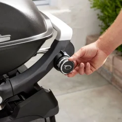 Weber Gasgrill mit Stand Q2200N