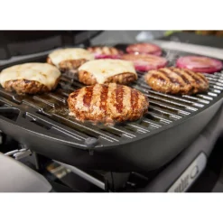 Weber Gasgrill mit Stand Q1200N