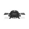 Weber Gasgrill Q1200N