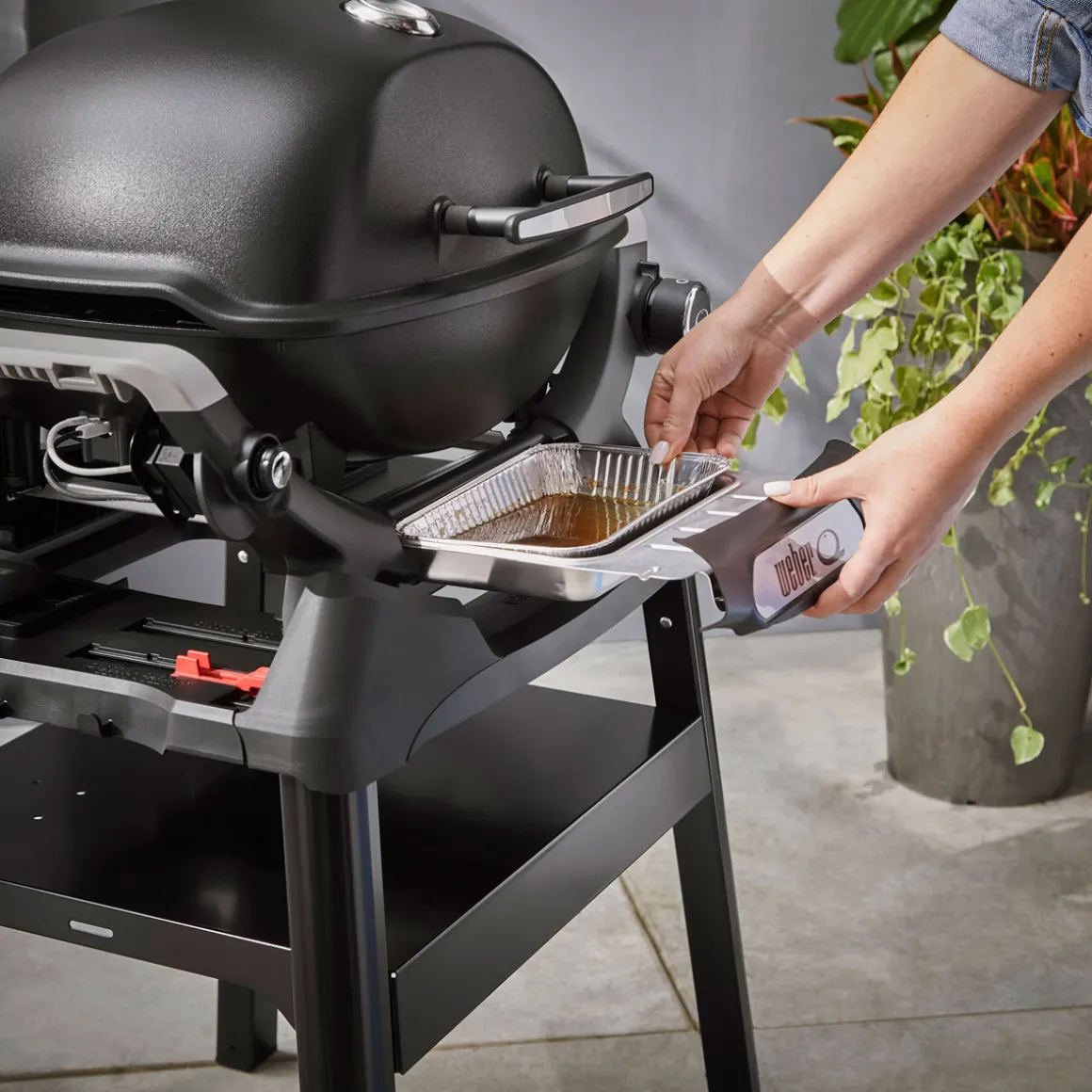 Weber Gasgrill Q1200N