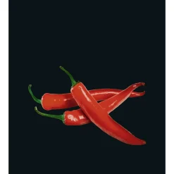 Wenko Glasrückwand Hot Peperoni 60 x 70 cm