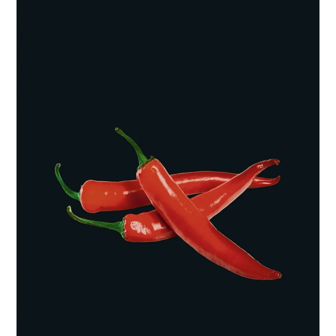 Wenko Glasrückwand Hot Peperoni 60 x 70 cm