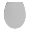 Wenko Premium WC-Sitz Samos Concrete Grau antibakteriell mit Absenkautomatik