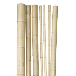 Windhager Bambusrohr 200x3-4 cm