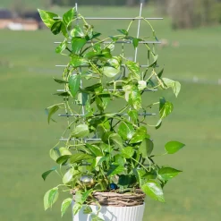Windhager Blumenstütze 77x34 cm metall