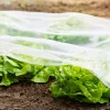 Windhager Frühbeet-Folie Supergrow 5x1,35 m