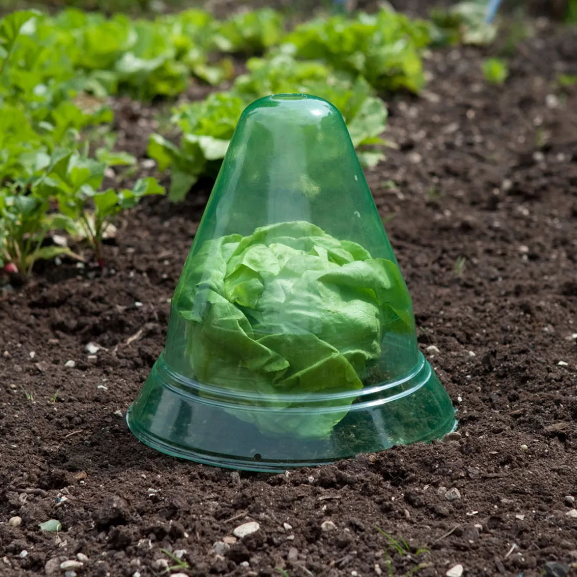 Windhager Pflanzenhut groß 10 Stück Durchmesser 24 cm