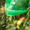Windhager Tomaten-Folienhaube 1,2x0,6 m 5 Stück