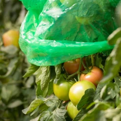 Windhager Tomaten-Folienhaube 1,2x0,6 m 5 Stück