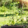 Windhager Tomaten-Turm 35x35x118 cm 4-teilig