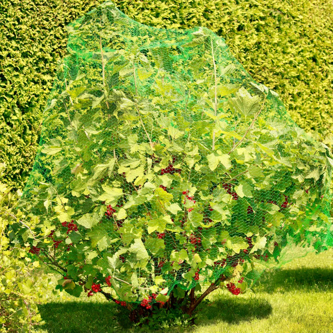Windhager Obstbaumnetz 8 x 8m