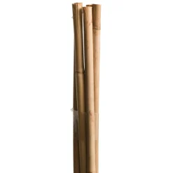 Windhager Splittstäbe 40 cm natur
